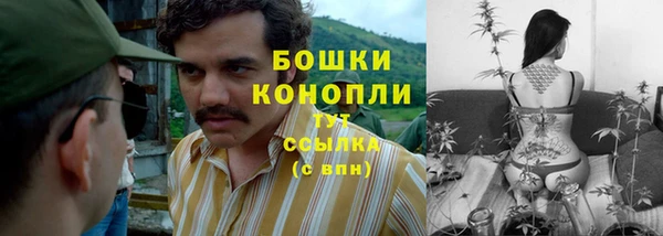 стафф Богородицк