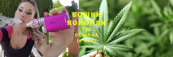 шишки Богданович