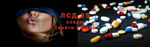 стафф Богородицк