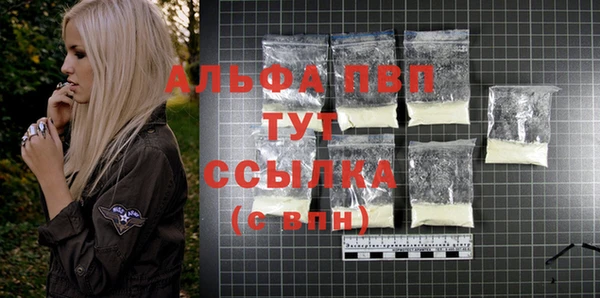 стафф Богородицк