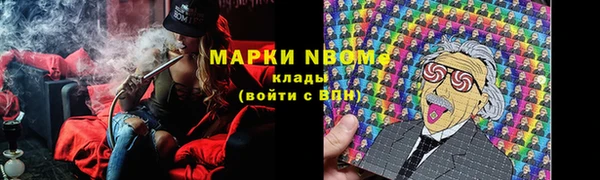 прущие грибы Бугульма