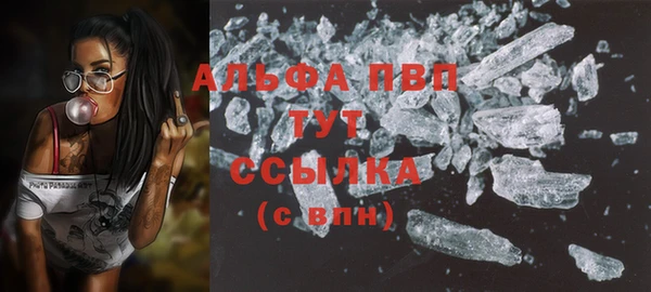 прущие грибы Бугульма