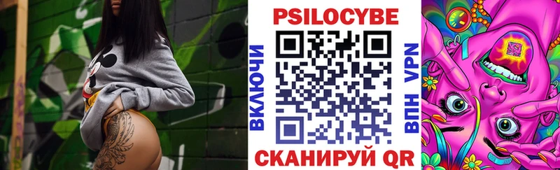 где купить наркоту  Киреевск  Псилоцибиновые грибы мухоморы 